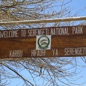 Serengeti zagrożone autostradą