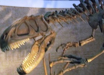 Dinozaur z Antarktydy