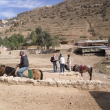 Petra