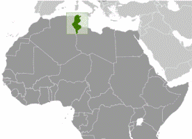 Tunezja zamraża aktywa Kadafiego