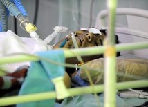 Libia: czas na zawieszenie broni