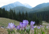 W Tatry wróciła zima