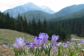 W Tatry wróciła zima