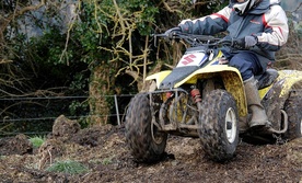 Biedne małopolskie lasy