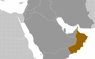 Oman: 3 tys. osób żąda reform