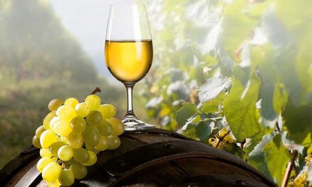 Wino