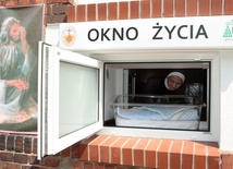 Okna życia – 40 dzieci w ciągu 5 lat