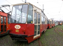 Mundurowi śledzą tramwaje