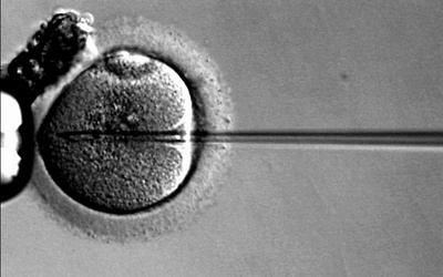 Nawrócony z in vitro