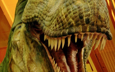Rybożerny dinozaur odkryty w Australii