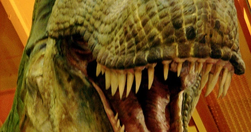 Rybożerny dinozaur odkryty w Australii