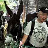 Pielgrzymka bezdomnych