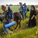 Pielgrzymka bezdomnych