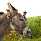 Pielgrzymka bezdomnych