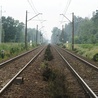 Rozpoczął się strajk w Przewozach Regionalnych