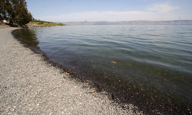 Naturyzm na wymarciu