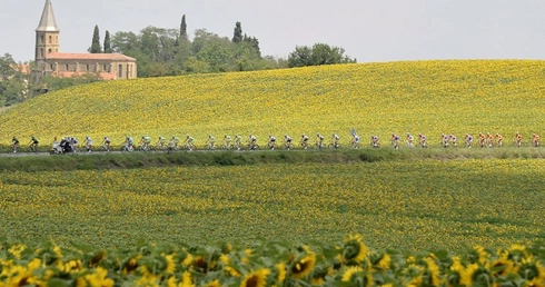 Na trasie Tour de France