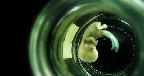 Rząd zajmie się ustawą antyaborcyjną 