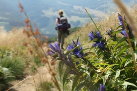 Bieszczady