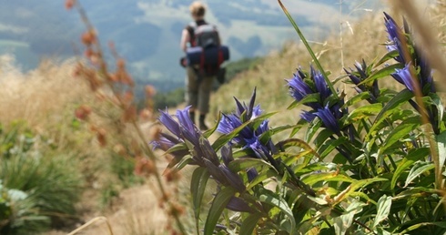 Bieszczady