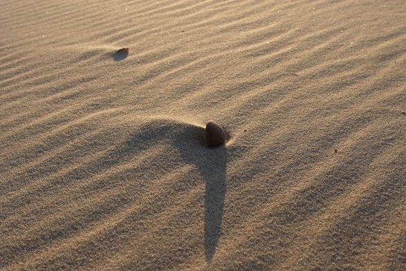 Plaża to nie piaskownica