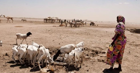 A ludzie padają jak muchy