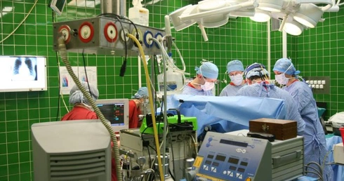 Transplantacja - więcej informacji!