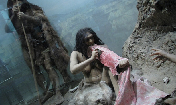 Dlaczego wymarli neandertalczycy?