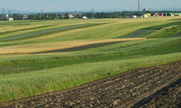 Państwowa ziemia zdrożała