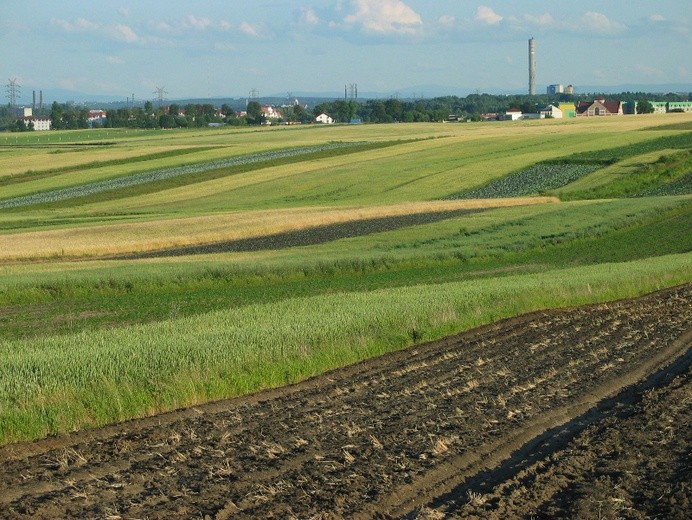 Państwowa ziemia zdrożała