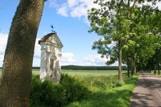 Święta Lipka
