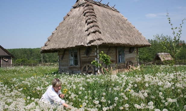 Kraina Lessowych Wąwozów