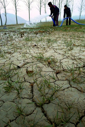 Jedną z ważnych przyczyn wzrostu cen żywności na świecie jest susza w Chinach.