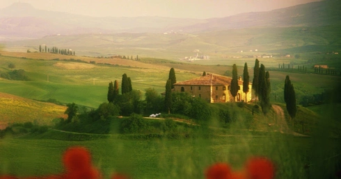 Zaczęliśmy marzyć o tym, by zamienić wierzby płaczące na sięgające nieba cyprysy, a "wino marki wino" na Brunello di Montalcino.