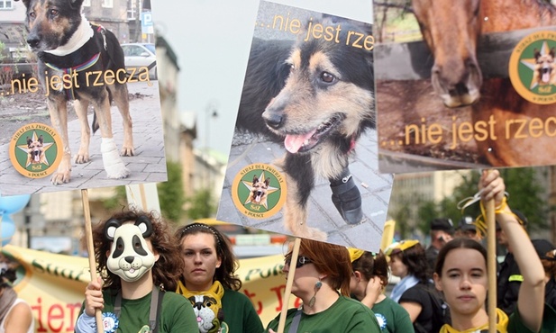 Zwierzęta proszą o głos na TAK