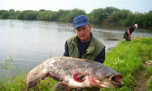 27-kilogramowy sum
