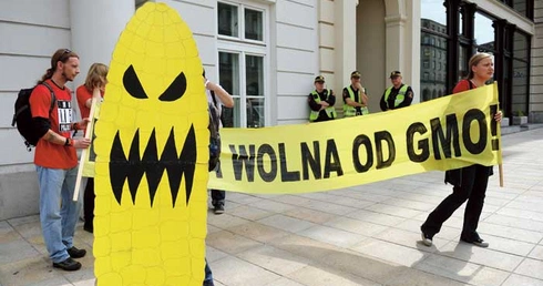  GMO wzbudza ogromne emocje.  Co pewien czas odżywają dyskusje  na ten temat