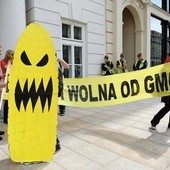  GMO wzbudza ogromne emocje.  Co pewien czas odżywają dyskusje  na ten temat