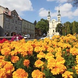 Pszów - wyżynna otwartość