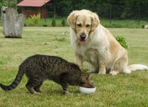 Seks jak miska zupy?