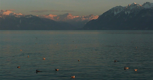 Matka Boża - persona non grata?