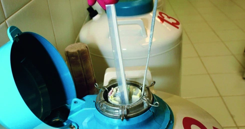 Pojemniki z azotem do przechowywania ludzkich zarodków w temperaturze - 180 stopni.