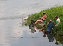 Wisła czeka na łososia