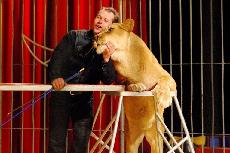 Gwiazdy cyrku w Warszawie