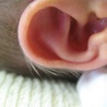Wczesne wykrywanie wad słuchu życiową szansą dla dzieci