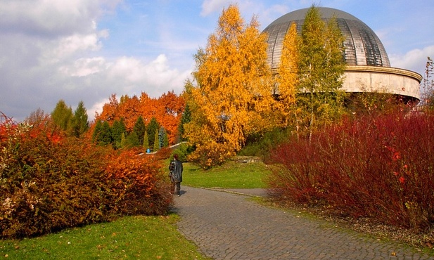 Chorzów