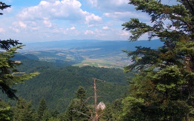 Pieniny