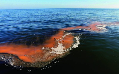 W wodach Zatoki Meksykańskiej znalazły się już dziesiątki tysięcy ton ropy.