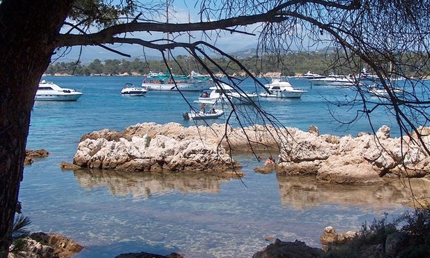 Licealiści walczą o wakacje