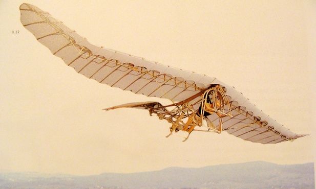 Ornitopter